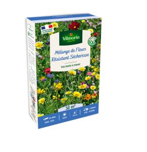 Fleurs Terrain Sec - 50 m² - Mélange de fleurs